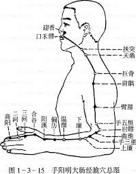 paksusuolimeridiaani 2