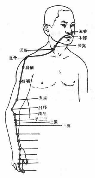 paksusuolimeridiaani