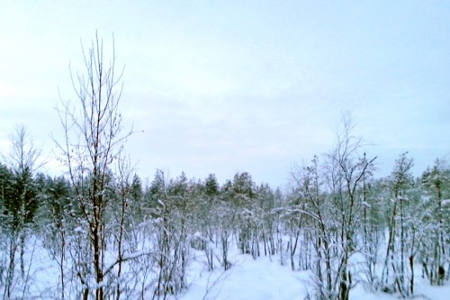 20150104_143200 Panorama